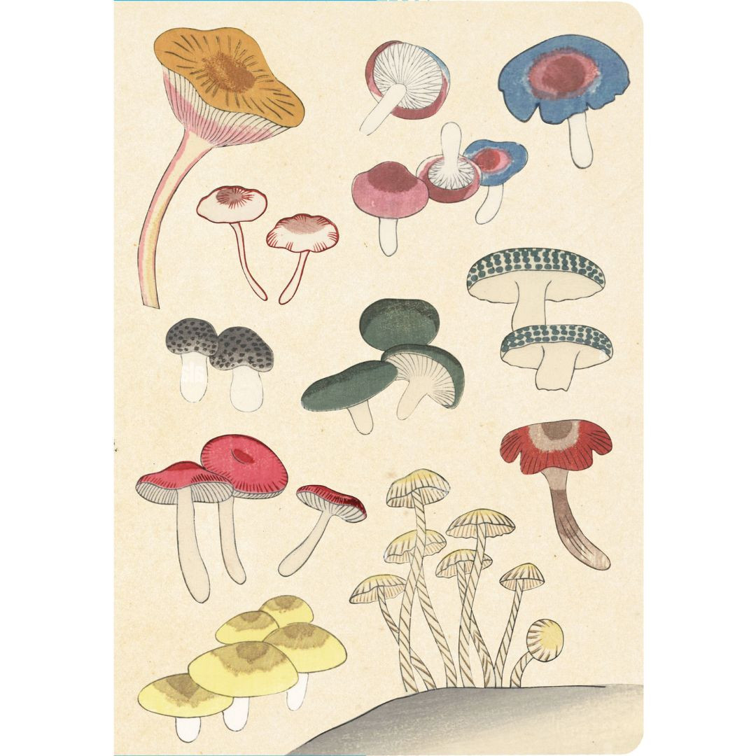 Healing Mushrooms Lined Paperback Journal: Blank Notebook with Pocket                                                                                 