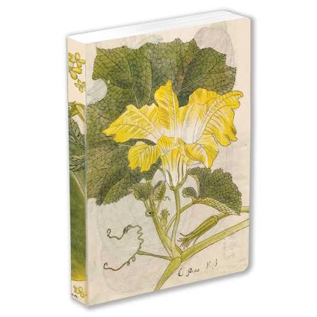 Japanese Squash Blossom Lined Paperback Journal: Blank Notebook with Pocket                                                                           