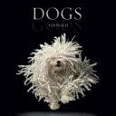 Dogs / Gods                                                                                                                                           