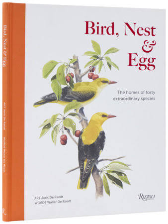 Bird, Nest & Egg: The Homes of Forty Extraordinary Species                                                                                            