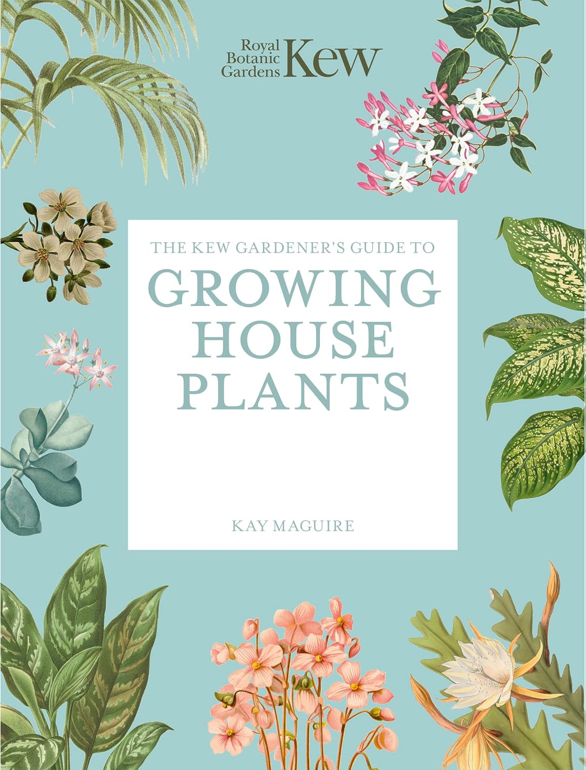 The Kew Gardener’s Guide to Growing House Plants: Paperback reissue (Kew Experts)                                                                     